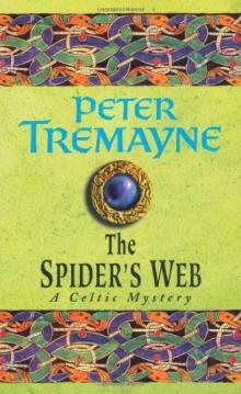 Sister Fidelma 05 - The Spider's Web