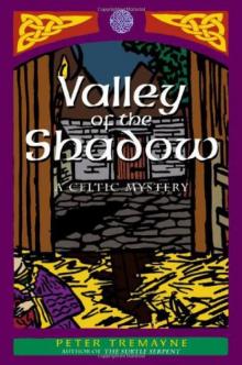 Sister Fidelma 06 - Valley of the Shadow