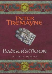 Sister Fidelma 13 - Badger's Moon