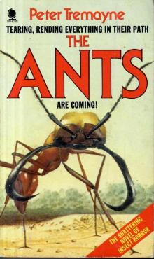 The Ants are Coming