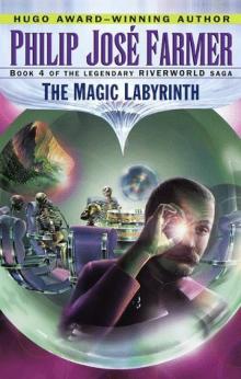 The Magic Labyrinth The Magic Labyrinth
