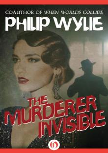 The Murderer Invisible