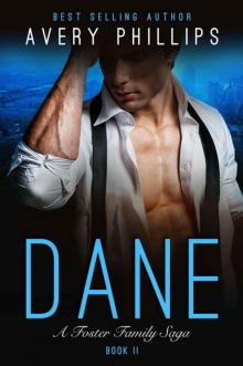 Dane - Book 2: A Foster Family Saga