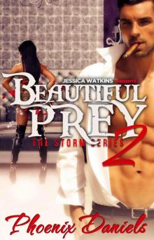 Beautiful Prey 2: The Storm Series (BWWM Romance) Beautiful Prey 2: The Storm Series (BWWM Romance)