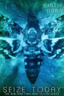 Seize Today (Forget Tomorrow)