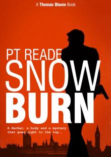 Snow Burn: A thrilling detective mystery Snow Burn: A thrilling detective mystery