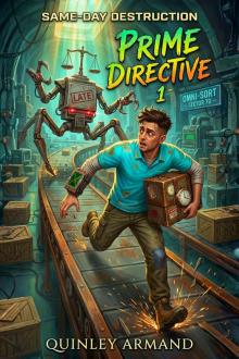 Same-Day Destruction: Prime Directive Book 1: A LitRPG Dungeon Monster Crawler Fantasy Adventure