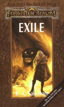 Exile - Book 2 of the Dark Elf Trilogy