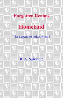 Forgotten Realms: Homeland - The Legend of Drizzt Book I