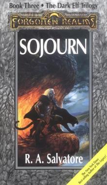 Sojourn - [Book 3 of the Dark Elf Trilogy]