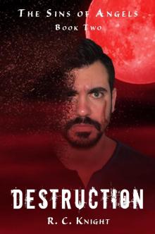 Destruction Destruction