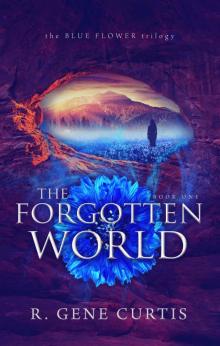 The Forgotten World The Forgotten World