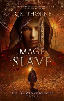 Mage Slave (The Enslaved Chronicles Book 1)