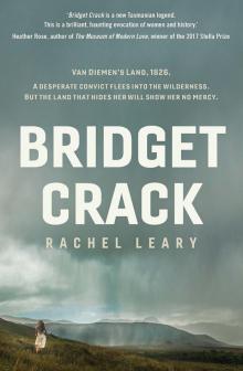 Bridget Crack Bridget Crack