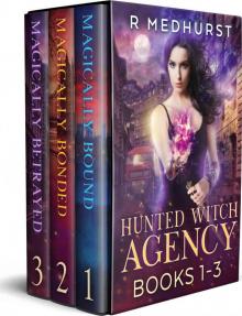 Hunted Witch Agency Box Set Books 1-3 (Hunted Witch Agency Set)