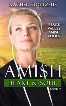 Amish Heart and Soul Amish Heart and Soul