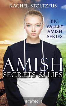 Amish Secrets and Lies Amish Secrets and Lies
