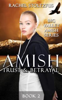 Amish Trust and Betrayal Amish Trust and Betrayal