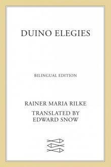 Duino Elegies