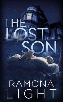 The Lost Son: A Mystery Thriller The Lost Son: A Mystery Thriller