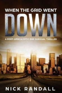 The Surviving The EMP Trilogy (Book 1): When The Grid Went Down The Surviving The EMP Trilogy (Book 1): When The Grid Went Down
