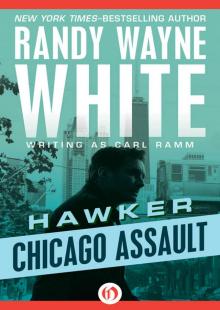 Chicago Assault Chicago Assault