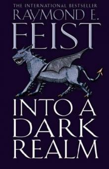 Into A Dark Realm Into A Dark Realm