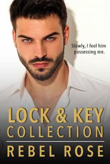 Lock & Key Collection Lock & Key Collection
