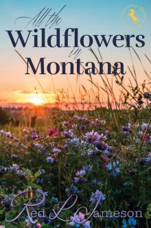 All the Wildflowers in Montana