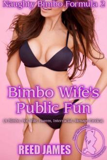 Bimbo Wife's Public Fun Bimbo Wife's Public Fun