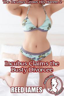Incubus Claims the Busty Divorcee (The Incubus Grows His Harem 2)
