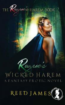 Rogue's Wicked Harem Rogue's Wicked Harem