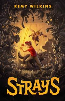 Strays Strays