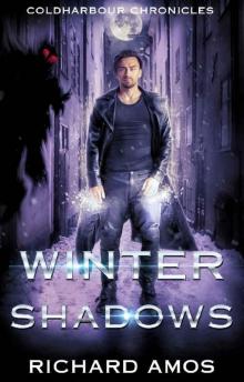 Winter Shadows