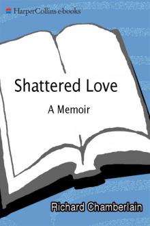 Shattered Love Shattered Love