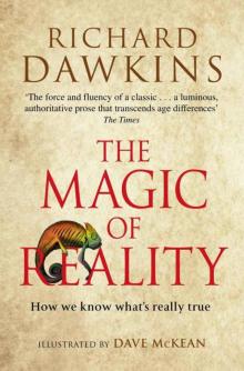 The Magic of Reality The Magic of Reality