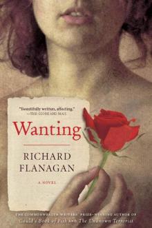 Wanting Wanting