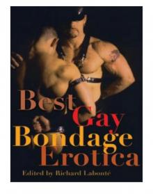 Best Gay Bondage Erotica Best Gay Bondage Erotica