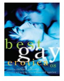 Best Gay Erotica 2008
