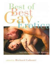 Best of the Best Gay Erotica Best of the Best Gay Erotica