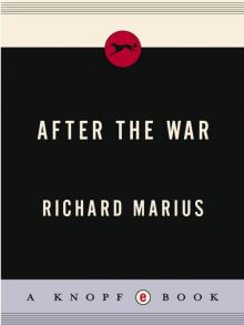 After the War After the War