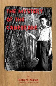 The Mystery of the Canebrake The Mystery of the Canebrake