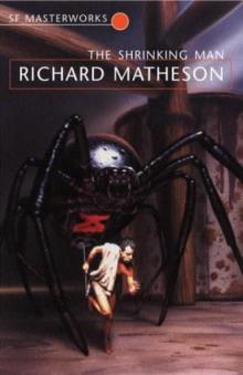The Shrinking Man The Shrinking Man
