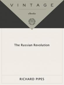 The Russian Revolution The Russian Revolution