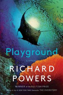 Playground Playground