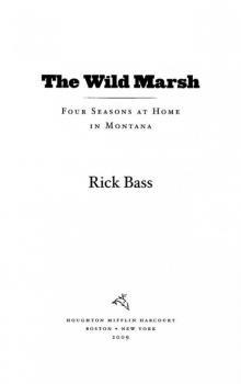 The Wild Marsh