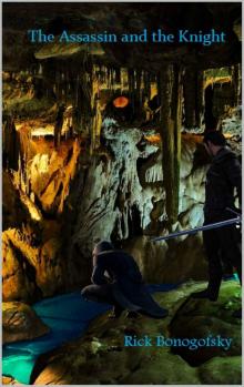 The Assassin and the Knight The Assassin and the Knight