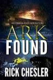 Ark Found