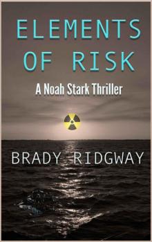 Elements of Risk: A Noah Stark Thriller Elements of Risk: A Noah Stark Thriller