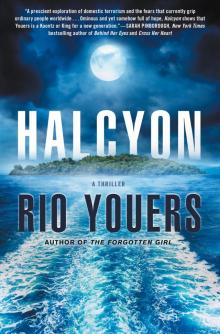 Halcyon Halcyon